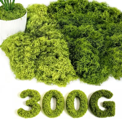 ROLLWAY 150g Künstliche Moos für Dekorieren, Kunstmoos-Kunstdekoration - 36% Off