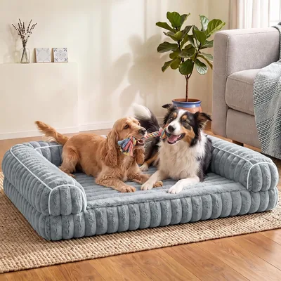 Cama para Perro Mediano 90x60 cm con Funda Lavable y Entrada Baja | Sillon para Perro con Espuma Caja de Huevos de 7 c
