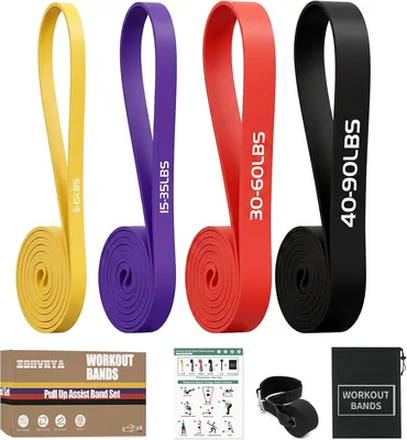 Resistance Bands Set - 4 Level with Door Anchor