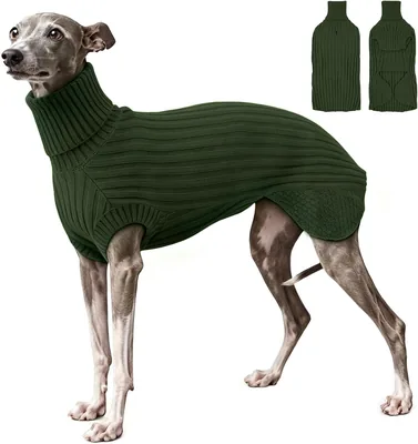 Whippet Sweater Green S - Italian Greyhound Coat