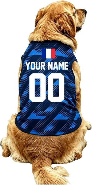 Maillot de football personnalisé Coupe du Monde 2026 France - V-neck avec nom et numéro Tricolore pour petits animaux