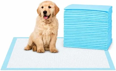 FGHPLL Puppy Training Pads 20-Pack 33x45cm Best Deal