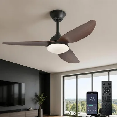Ventilateur de plafond silencieux AQLEDY avec lumière 100 cm, moteur DC réversible, 6 vitesses, fonction mémoire dimmable