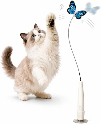 Fluttering Butterfly Interactive Cat Toy Best Deal