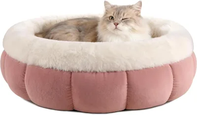 Edmiens Small Cat Bed - Round Donut Kitten Bed
