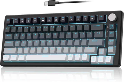 MageGee 75% Mechanical Gaming Keyboard, Compact Blue Backlit Wired Gaming Keyboards with Linear Red 