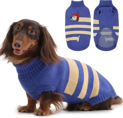 Hjyokuso Dachshund Sweater