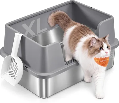 Arenero para Gatos FEANDREA, Acero Inoxidable, Bordes Altos