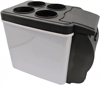 Thermally Controlled Car Fridge 6L Best Deal