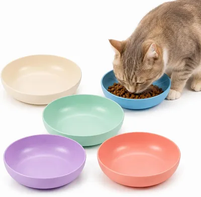 Ensemble de bols pour chats, 5 pièces - Anti-fatigue et dishwasher-safe - BPA Free, Non Toxic - Aliment sec et humide - Multi-chat