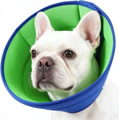 Collar Isabelino para Perros y Gatos, Cono para Perro, Ajustable y Extraíble, Suave con Malla Tejida, Evita Rasguños Mordeduras - Mejor Oferta