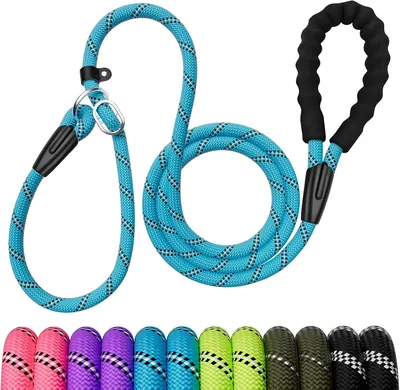 Slip Lead Dog Leash 6FT - Best Deal