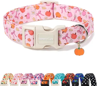 LIONET PAWS Fall Pink Pumpkin Dog Collar