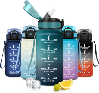 Bouteille d'eau JAPORIA 500ml avec paille, marqueur horaire, motivation, sans BPA, étanche, facile à nettoyer, réutilisable