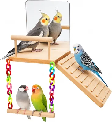 Zosutetoxo Budgie Toy Set with Mirror - Best Deal