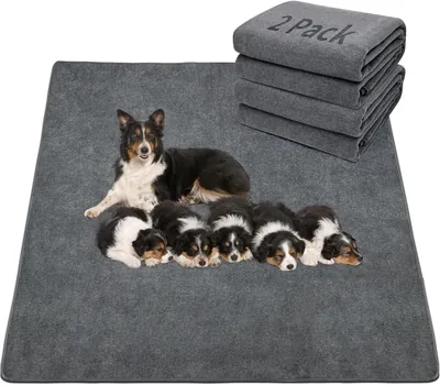 2 Pack Washable Dog Pee Pads - Best Deal