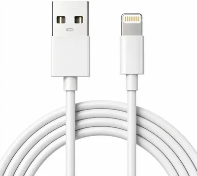 iPhone Lightning Charger 3.3FT - Best Deal