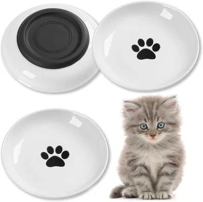 VIIBASE Ceramic Cat Food Bowls - Pack of 3 Best Deal