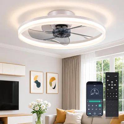 Ventilateur de plafond GOOSKI avec lumière, 50 cm LED, télécommande et contrôle d'application, silencieux 30