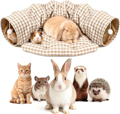 Bunny Tunnel Bed - 2-in-1 Collapsible Tunnel Toys with Mat Hideout for Pets Best Deal