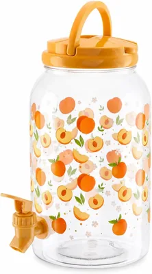 MIJOMA Spritförvaring med tap och hållbarhet - 4 litra PET-fack för lundr, vatten, koldte te och sommardrink (Best Deal)