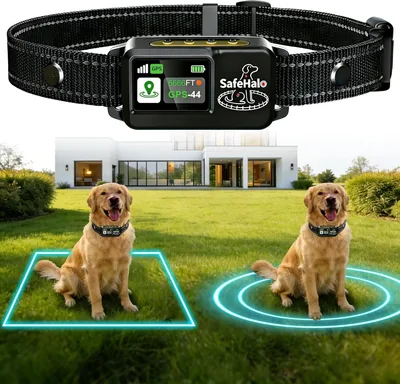 GPS Wireless Dog Fence System Best Deal