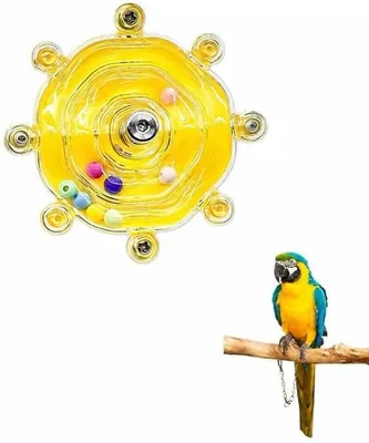 FGHPLL Rotating Bird Cage Spinner Toy Best Deal