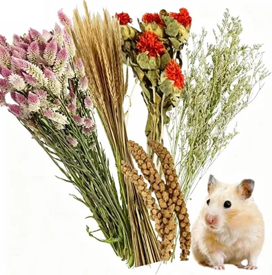 40-50 PCS Hamster Bedding Flowers Herbs Spray Best Deal