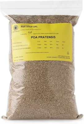 R&R SHOP - Semi per Prato, Poa Pratensis, Auto-guarente e Resistente (1.5 kg - 60 m²)