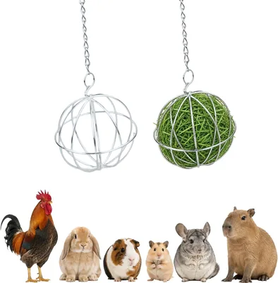 Ymswjgj 2st Stainless Steel Fodballe för Kanin Accessori - Stahlsnöring för Rödjur Fodning