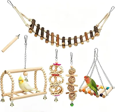 6 Pcs Bird Toys for Budgies Parakeets - Best Deal