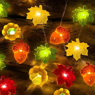 Mavouri Herbstdekoration mit Kürbissen, Ahornblättern und Kiefernzapfen mit Timer, 3m 30 LED Herbstlichter