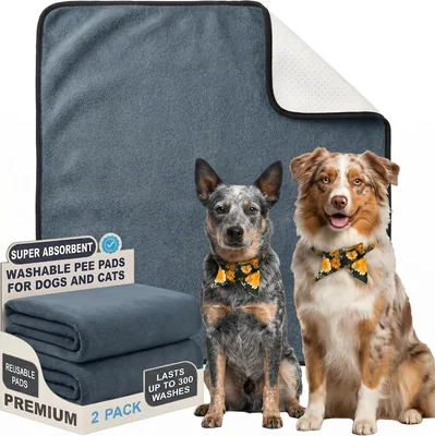 SHAMJIBAG Washable Puppy Pads Best Deal