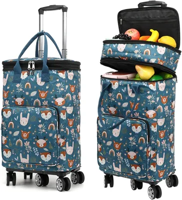 2 in 1 Shopping Cart with Wheels - Best Deal