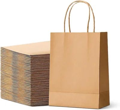 tru® Kraft Paper Bag with Twisted Handle, 24-Pieces | Best Deal