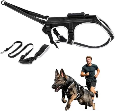 Dog Running Leash & Harness Set - Bikejoring Canicross