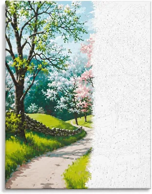 40x50cm Art Painted Canvas Paint by Numbers Kit, DIY Landscape