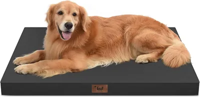 Tail Stories XL Dog Bed - 10% Off