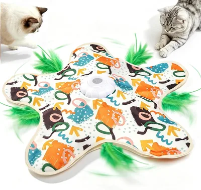 Interactive Cat Toys 5% Off - Hide & Seek Puzzle Game