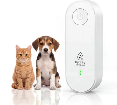 Plug In Air Ionizer - Filterless Cat Litter Box Deodorizer Best Deal