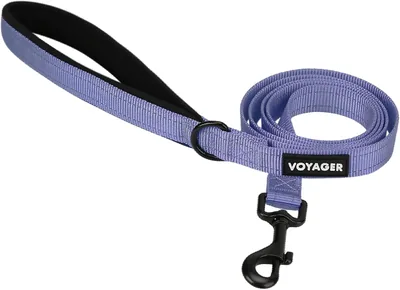 Best Pet Supplies Voyager Nylon Dog Leash - Lavender, Medium | 5ft Long, Reflective & Soft Handle