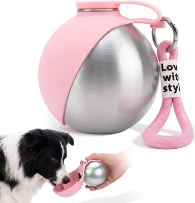 Cuenco Portátil para Perros de 285 ml, Botella Anti-Fugas de Acero Inoxidable con Sistema Anti-Reflujo, Silicona Collapsible