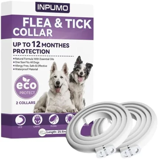 Collar antiparasitario para perros, protección natural de 12 meses, impermeable y ajustable contra pulgas para razas pequeñas, medianas y grandes