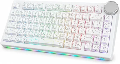 لوحة مفاتيح ألعاب AJAZZ AK820 V2 75% بالعربية والإنجليزية، مفتاح مغناطيسي، سلكي 8KHz 0.125ms منخفض التأخير، مقبض CNC، غساق | أفضل سعر