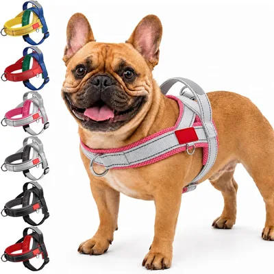 Ledeak No Pull Front Clip Harness Control Handle Small Medium Dogs Best Deal