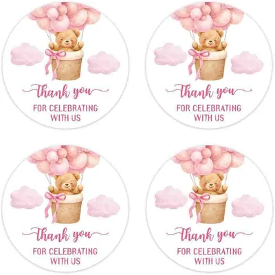 WRUISZ 72pcs Pink Bear Baby Shower Stickers Best Deal