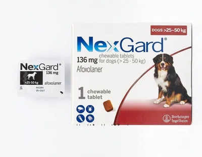 Nex-gard 1 قرص قابل للبلع لمكافحة القراد والبراغيث للكلاب (25-50 كجم) - أفضل سعر