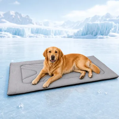 EpicRove Dog Cooling Mat No Gel, Q-Max ≥ 0.4 - Best Deal