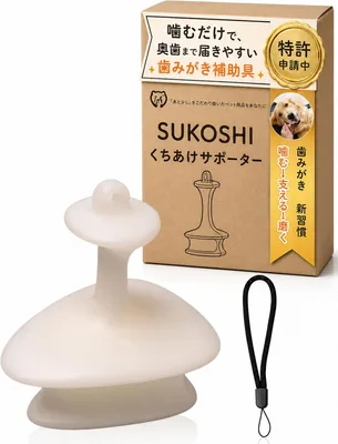 ペット用自動給餌器 1816円 最安値