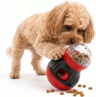 Dog Puzzle Feeder & Interactive Treat Dispenser Toy - Best Deal